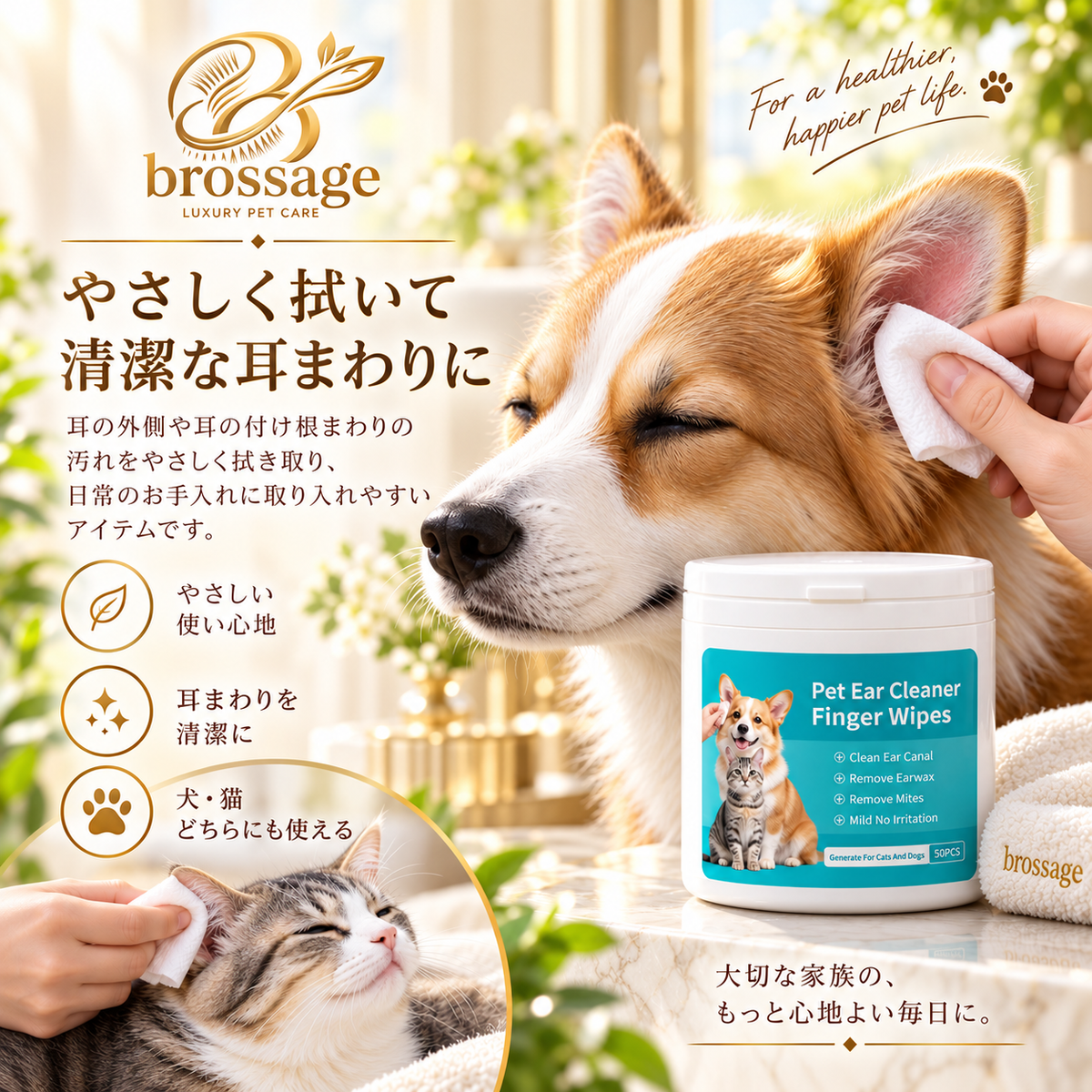 イヤーケアワイプ